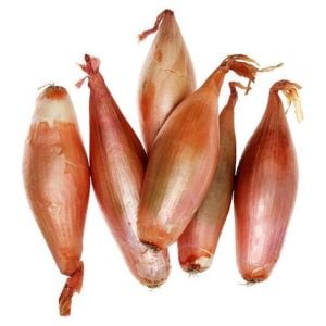 Shallot Onion (LB)